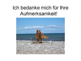 Folie23.JPG